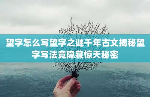 望字怎么写望字之谜千年古文揭秘望字写法竟隐藏惊天秘密
