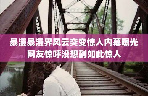 暴漫暴漫界风云突变惊人内幕曝光网友惊呼没想到如此惊人