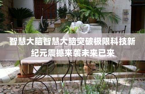 智慧大脑智慧大脑突破极限科技新纪元震撼来袭未来已来