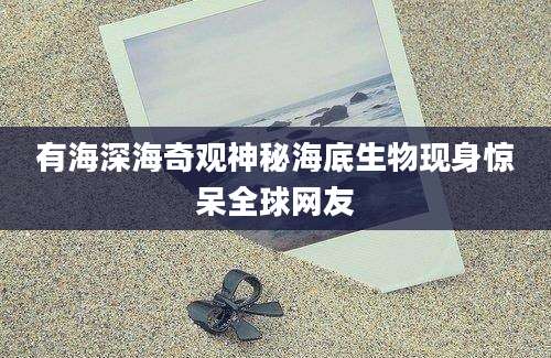 有海深海奇观神秘海底生物现身惊呆全球网友