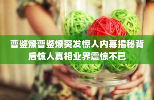 曹鉴燎曹鉴燎突发惊人内幕揭秘背后惊人真相业界震惊不已