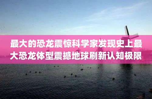 最大的恐龙震惊科学家发现史上最大恐龙体型震撼地球刷新认知极限
