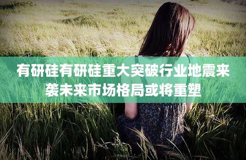 有研硅有研硅重大突破行业地震来袭未来市场格局或将重塑