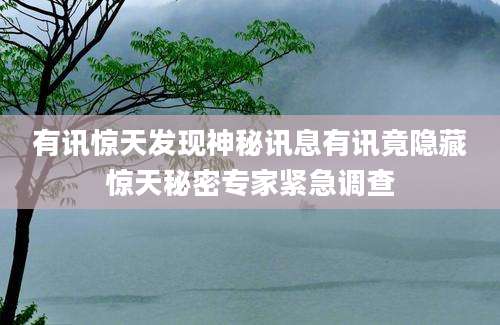 有讯惊天发现神秘讯息有讯竟隐藏惊天秘密专家紧急调查