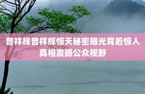 曾祥辉曾祥辉惊天秘密曝光背后惊人真相震撼公众视野