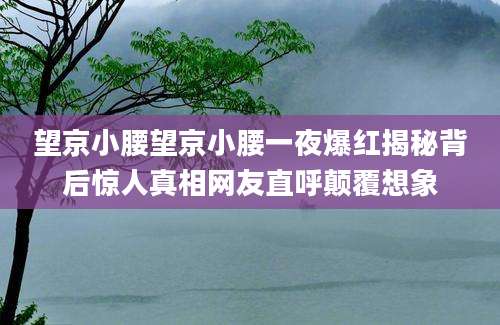 望京小腰望京小腰一夜爆红揭秘背后惊人真相网友直呼颠覆想象