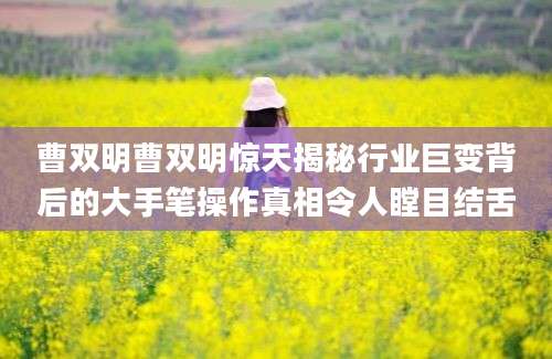 曹双明曹双明惊天揭秘行业巨变背后的大手笔操作真相令人瞠目结舌