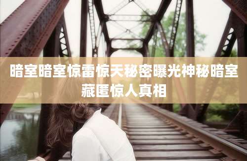 暗室暗室惊雷惊天秘密曝光神秘暗室藏匿惊人真相
