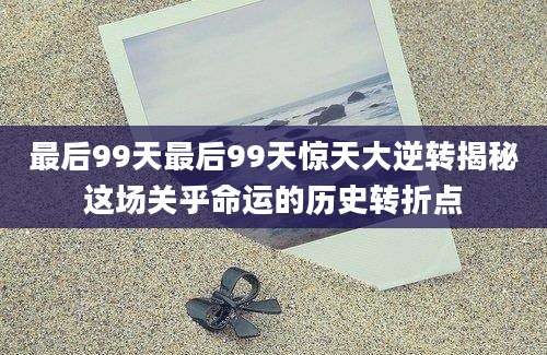 最后99天最后99天惊天大逆转揭秘这场关乎命运的历史转折点