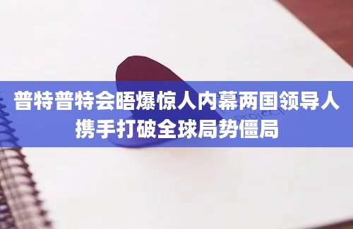 普特普特会晤爆惊人内幕两国领导人携手打破全球局势僵局