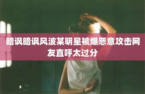 暗讽暗讽风波某明星被爆恶意攻击网友直呼太过分