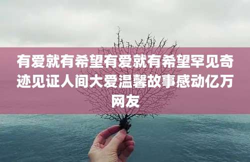 有爱就有希望有爱就有希望罕见奇迹见证人间大爱温馨故事感动亿万网友
