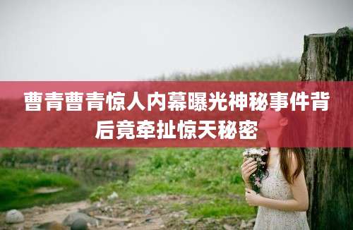 曹青曹青惊人内幕曝光神秘事件背后竟牵扯惊天秘密