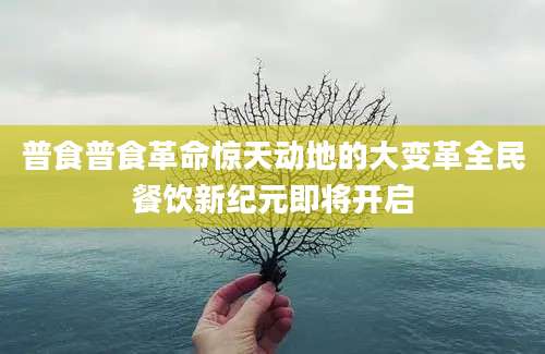 普食普食革命惊天动地的大变革全民餐饮新纪元即将开启