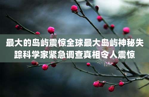 最大的岛屿震惊全球最大岛屿神秘失踪科学家紧急调查真相令人震惊
