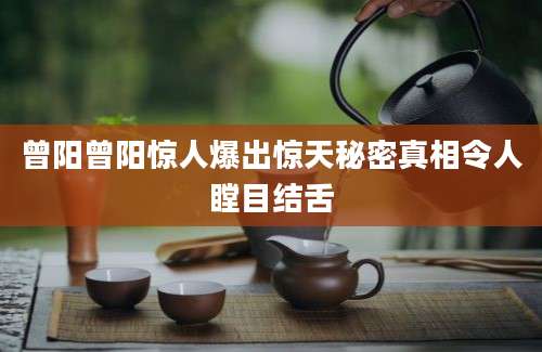 曾阳曾阳惊人爆出惊天秘密真相令人瞠目结舌
