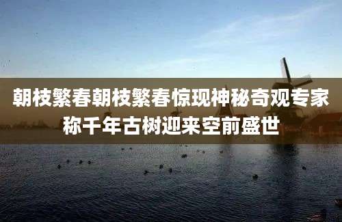 朝枝繁春朝枝繁春惊现神秘奇观专家称千年古树迎来空前盛世