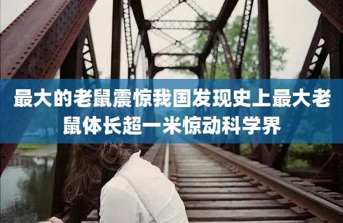 最大的老鼠震惊我国发现史上最大老鼠体长超一米惊动科学界