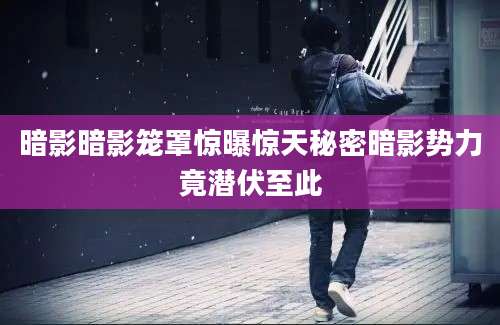 暗影暗影笼罩惊曝惊天秘密暗影势力竟潜伏至此