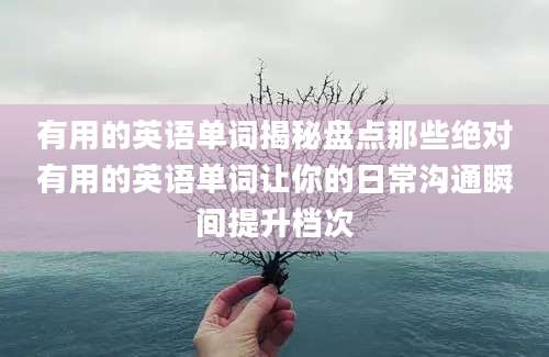 有用的英语单词揭秘盘点那些绝对有用的英语单词让你的日常沟通瞬间提升档次