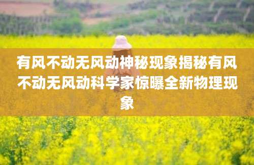 有风不动无风动神秘现象揭秘有风不动无风动科学家惊曝全新物理现象
