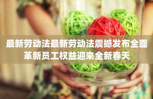 最新劳动法最新劳动法震撼发布全面革新员工权益迎来全新春天