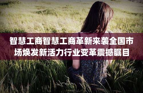 智慧工商智慧工商革新来袭全国市场焕发新活力行业变革震撼瞩目