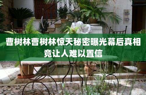 曹树林曹树林惊天秘密曝光幕后真相竟让人难以置信
