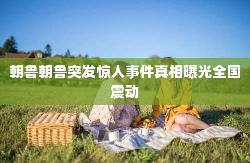 朝鲁朝鲁突发惊人事件真相曝光全国震动