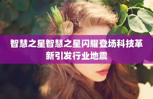 智慧之星智慧之星闪耀登场科技革新引发行业地震