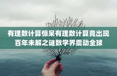 有理数计算惊呆有理数计算竟出现百年未解之谜数学界震动全球
