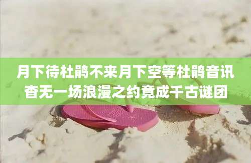 月下待杜鹃不来月下空等杜鹃音讯杳无一场浪漫之约竟成千古谜团