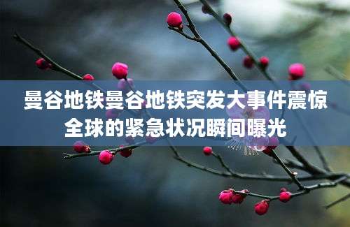 曼谷地铁曼谷地铁突发大事件震惊全球的紧急状况瞬间曝光