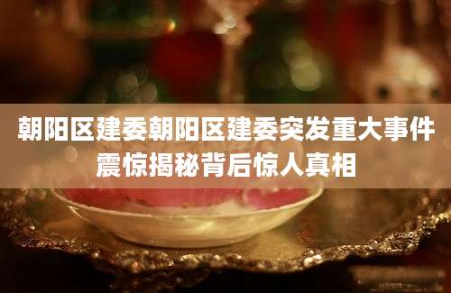朝阳区建委朝阳区建委突发重大事件震惊揭秘背后惊人真相