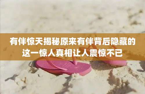 有伴惊天揭秘原来有伴背后隐藏的这一惊人真相让人震惊不已