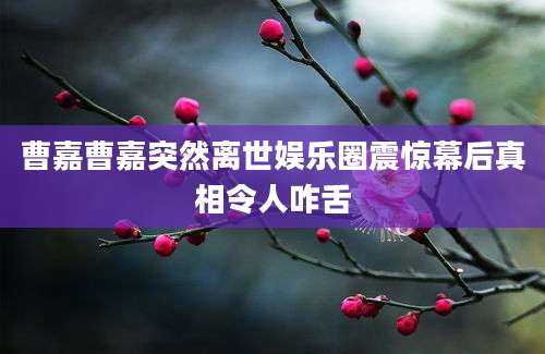 曹嘉曹嘉突然离世娱乐圈震惊幕后真相令人咋舌