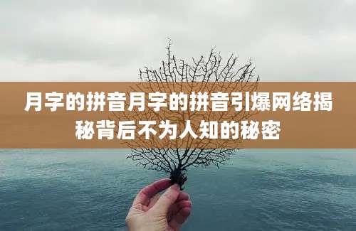 月字的拼音月字的拼音引爆网络揭秘背后不为人知的秘密