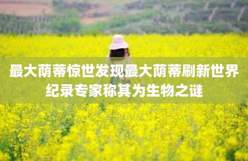 最大荫蒂惊世发现最大荫蒂刷新世界纪录专家称其为生物之谜