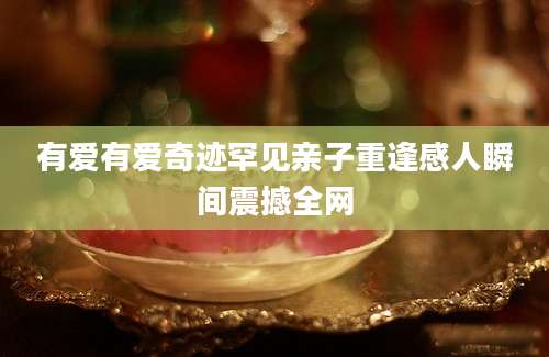 有爱有爱奇迹罕见亲子重逢感人瞬间震撼全网