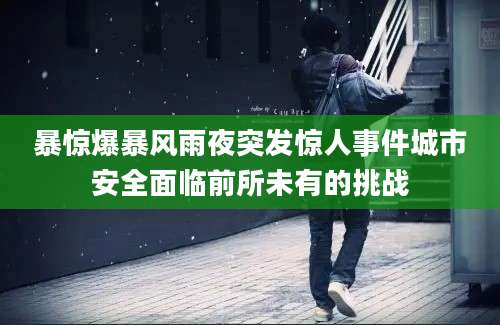 暴惊爆暴风雨夜突发惊人事件城市安全面临前所未有的挑战