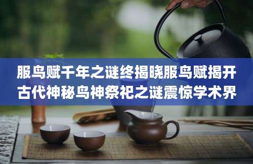 服鸟赋千年之谜终揭晓服鸟赋揭开古代神秘鸟神祭祀之谜震惊学术界