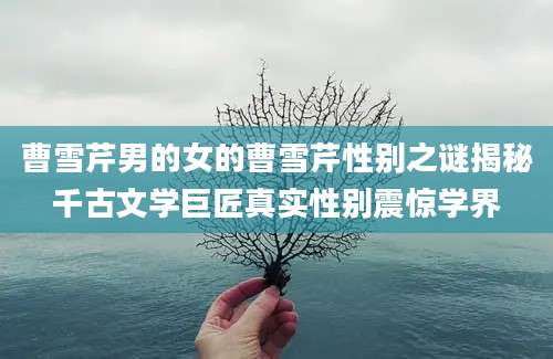 曹雪芹男的女的曹雪芹性别之谜揭秘千古文学巨匠真实性别震惊学界