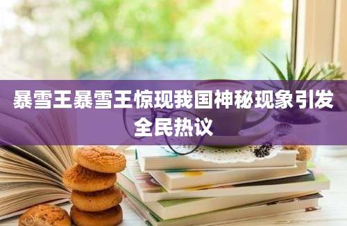 暴雪王暴雪王惊现我国神秘现象引发全民热议