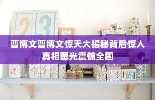 曹博文曹博文惊天大揭秘背后惊人真相曝光震惊全国