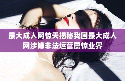 最大成人网惊天揭秘我国最大成人网涉嫌非法运营震惊业界