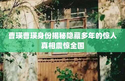 曹瑛曹瑛身份揭秘隐藏多年的惊人真相震惊全国