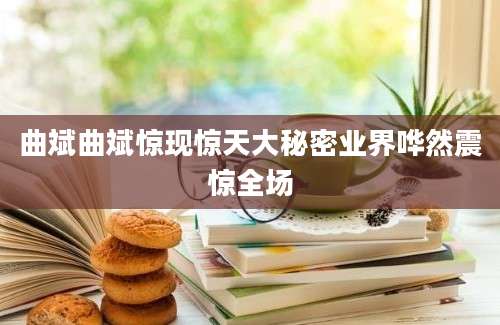 曲斌曲斌惊现惊天大秘密业界哗然震惊全场