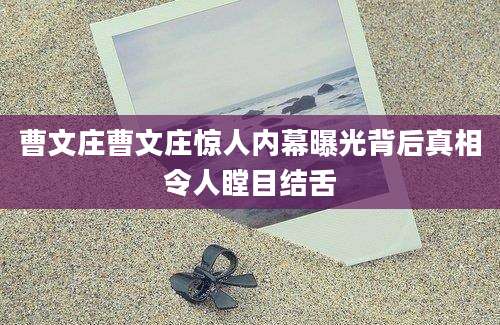 曹文庄曹文庄惊人内幕曝光背后真相令人瞠目结舌