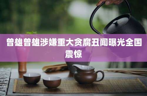曾雄曾雄涉嫌重大贪腐丑闻曝光全国震惊
