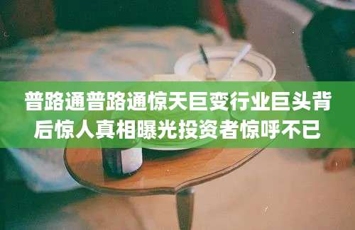 普路通普路通惊天巨变行业巨头背后惊人真相曝光投资者惊呼不已
